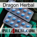 Dragon Herbal viagra4